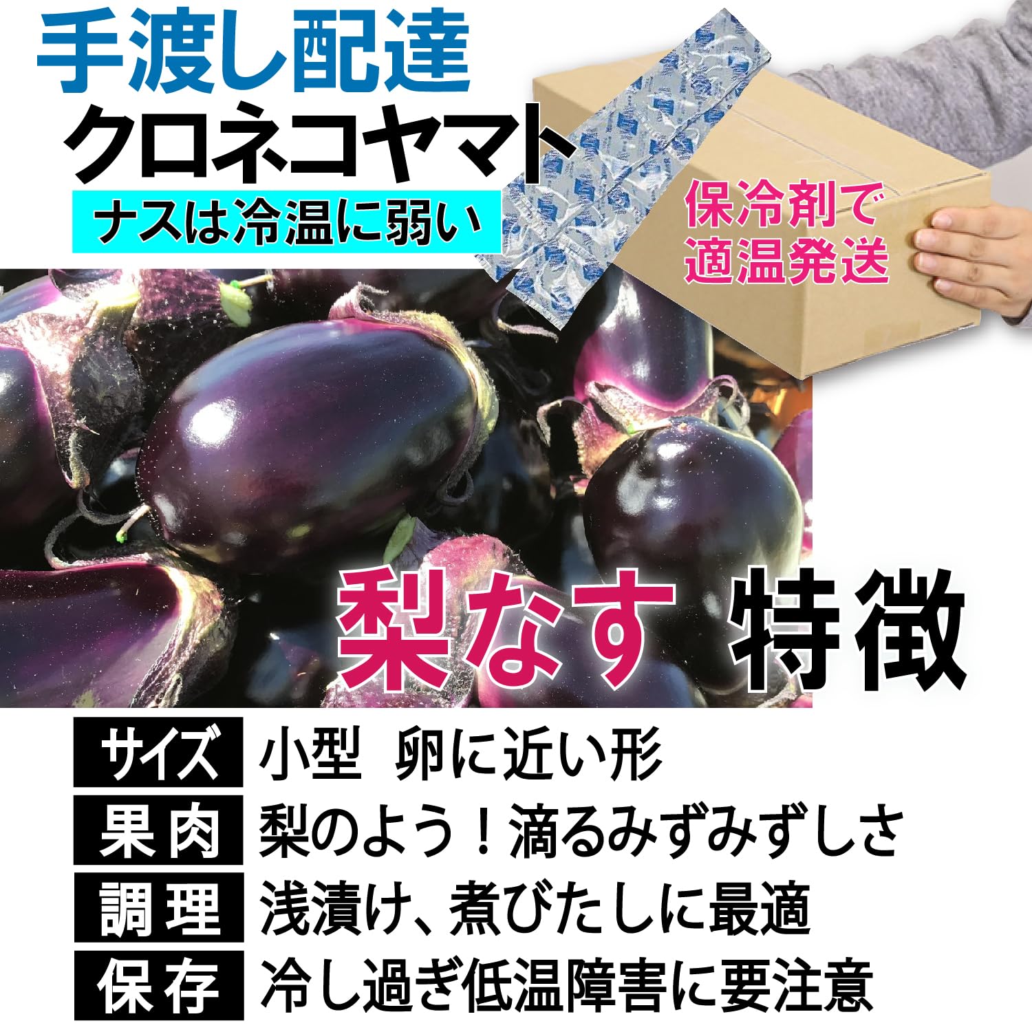 Amazon.co.jp: 【新潟伝統野菜】 他県では入手困難！「梨ナス」（約1